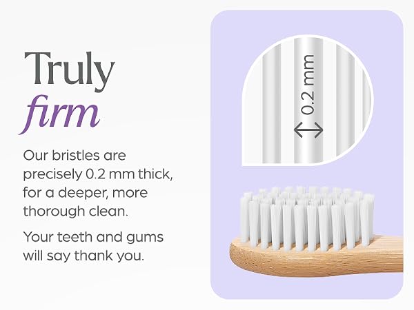 Firm Toothbrush