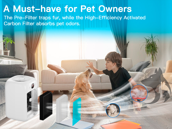 air purifiers for home large room