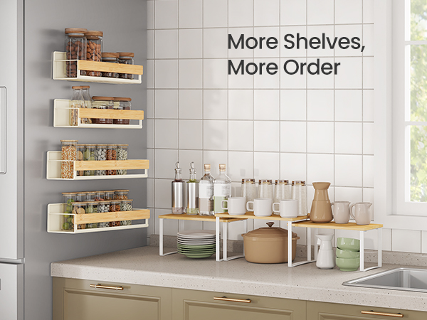 Magnetic Spice Rack