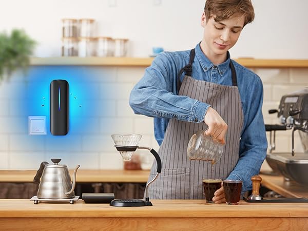 Burlan indoor fly trap