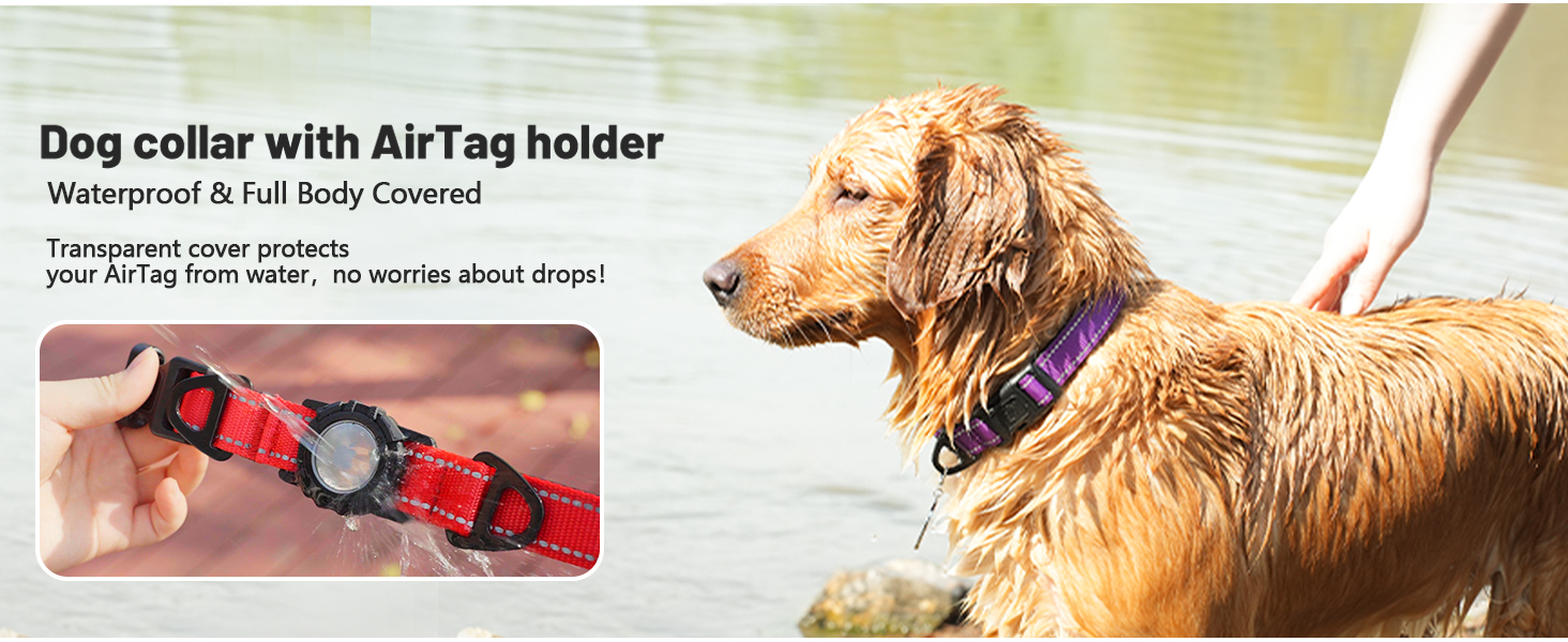 dog collar with airtag holder