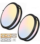 2-Pack 36W LED Ceiling Lights Black, 12inch Flush Mount Light Fixtures 3600LM 2700K/3000K/4000K/5...