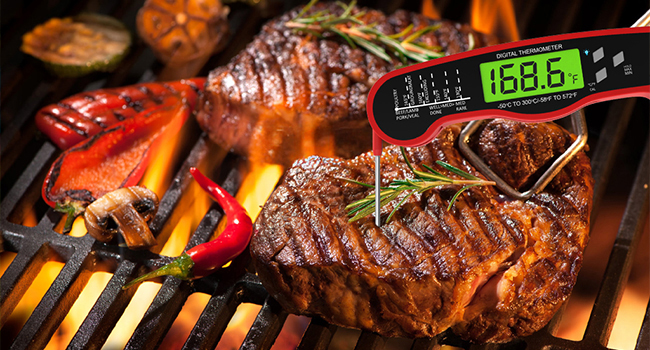 Meat Thermometer