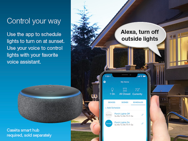 ask your voice assistant to get the lights or use the app