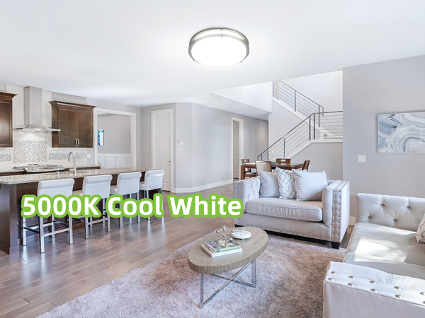 Flush Mount LED Ceiling Light Fixture