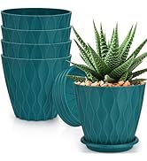 YNNICO 6 inch Plant Pots, 5 Pack Flower Pots Outdoor Indoor, Planters with Drainage Hole and Tray...