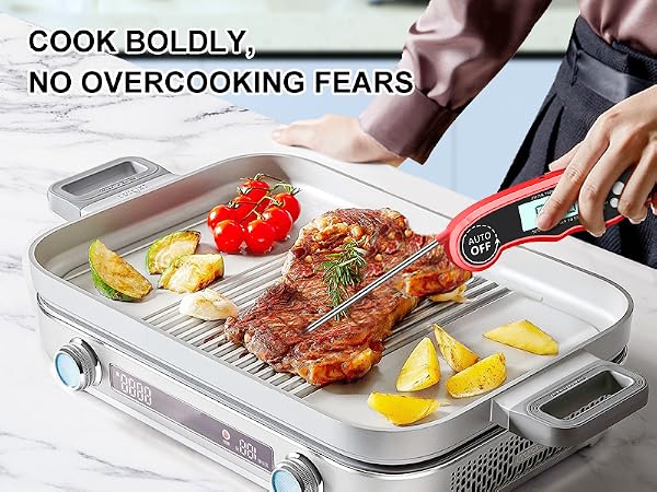 Meat Thermometer