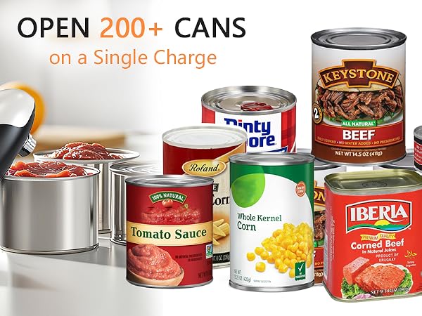 Electric Can Opener