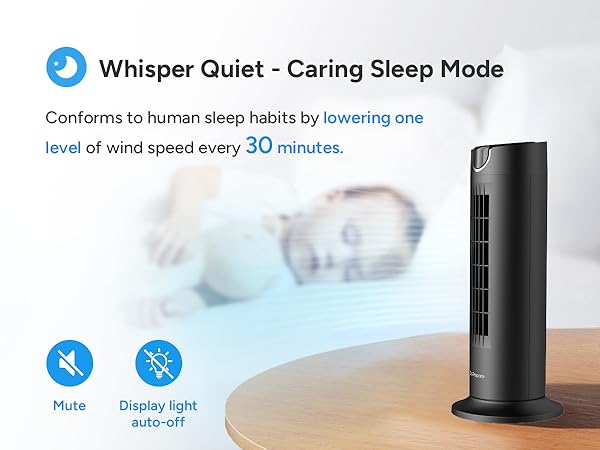 Desk Fan Oscillating