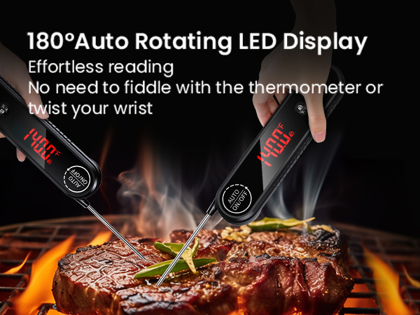 meat thermometer
