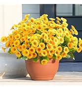 Waipfaru Artificial Flowers for Outdoors Faux Plants, UV Resistant Artificial Outdoor Flowers, Ye...
