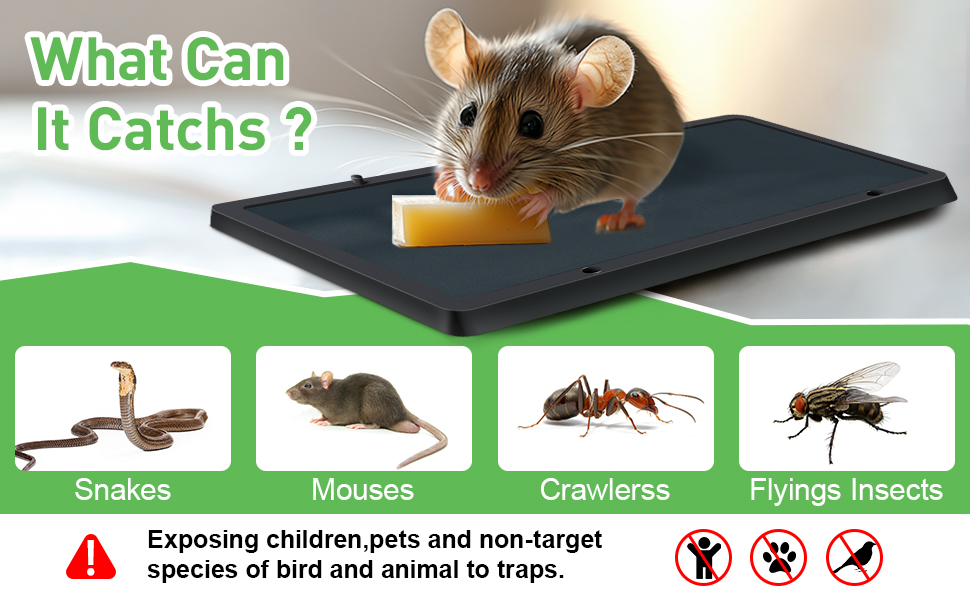 Mouses Traps