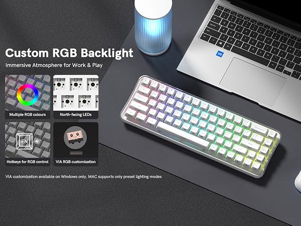 backlight