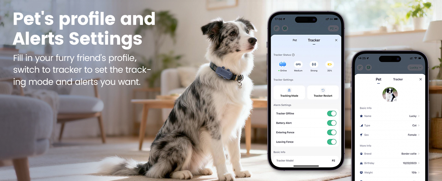 pet tracker for cats