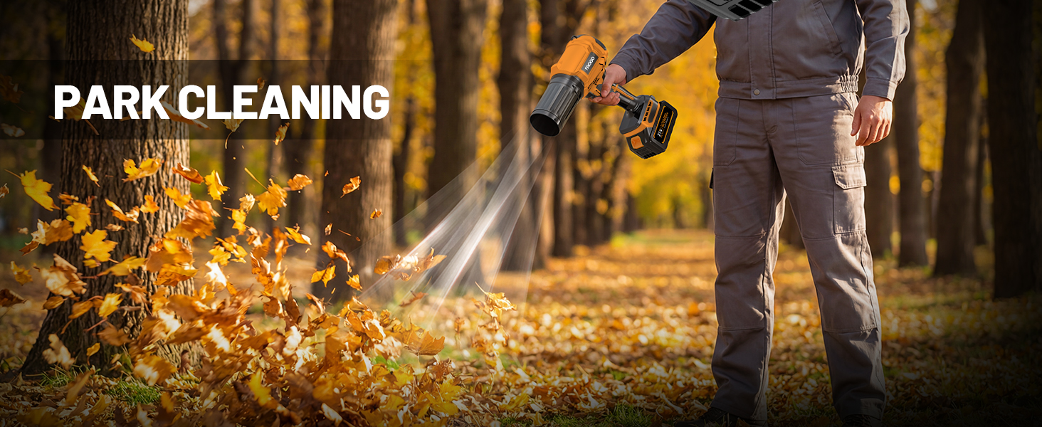 Cordless Leaf Blower