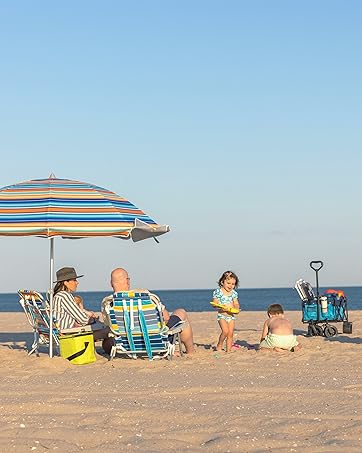 vented canopy of beach umbrella. navy and white panels