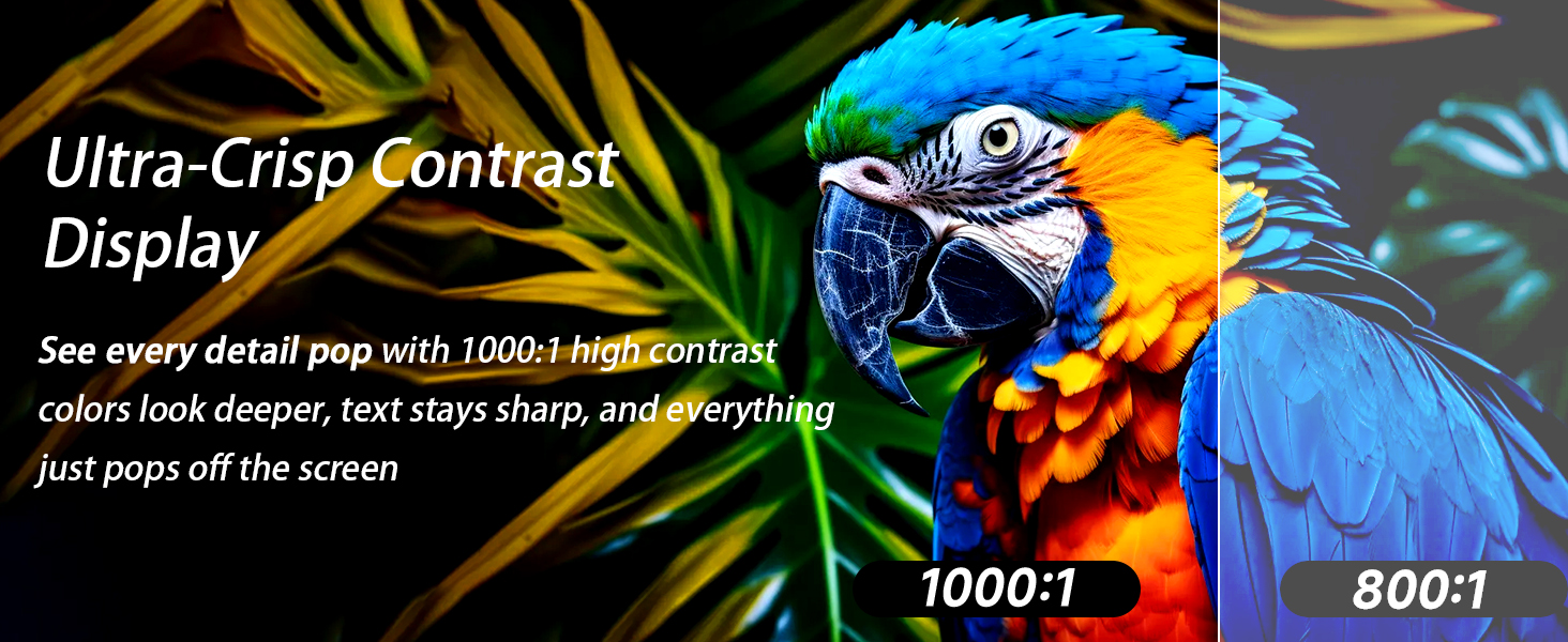 portable hdmi monitor