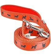 EcoBark Dog Leash - Soft &amp; Reflective Comfort Training Leashes with Padded Handle - Strong Durabl...