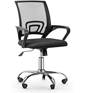 Basic Ergonomic Swivel Office Chair, Black Desk Chair, Executive Chair - Breathable Mesh Backrest...