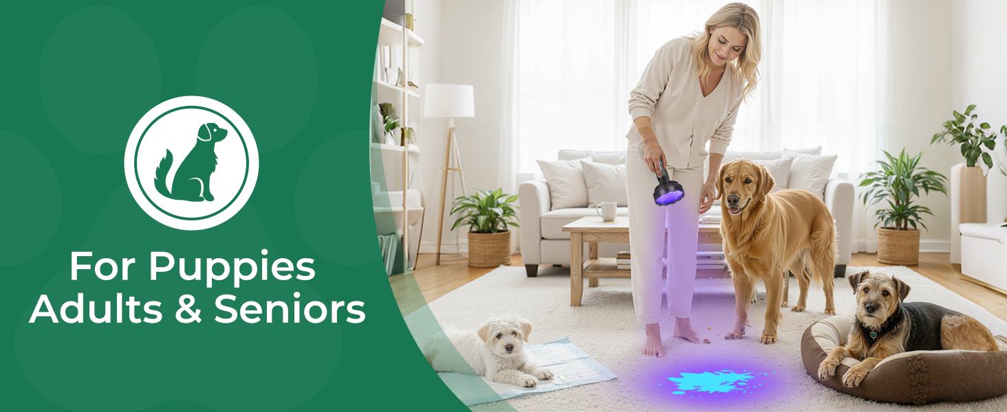 black light lamp urine light detector for dogs blacklight for pet urine 395nm uv flashlight