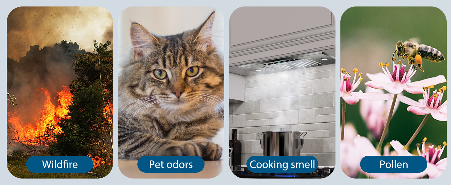 air purifier for home