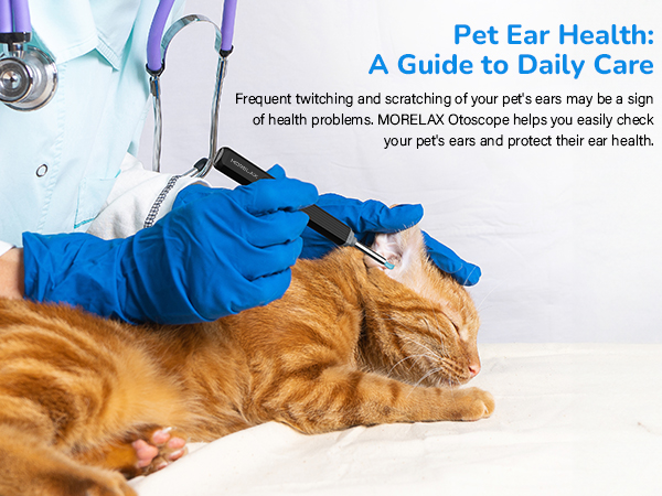 ear cleaning with camera