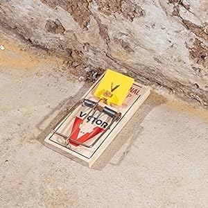 victor easy set rat trap is easy to set