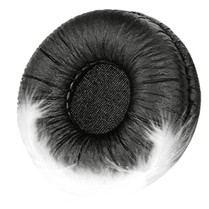 ear cushion
