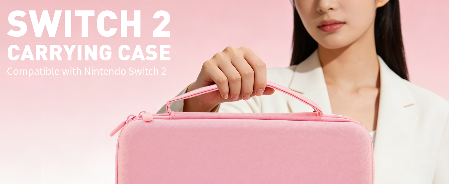 switch 2 case