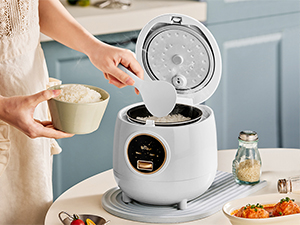 rice cooker