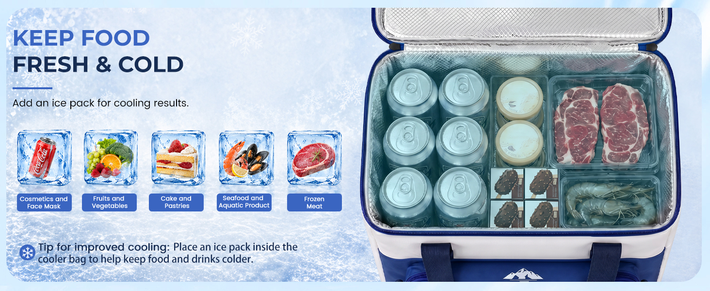 12v cooler