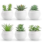 Der Rose Set of 6 Succulents Plants Artificial in Pots Small Fake Plants for Bedroom Aesthetic Li...