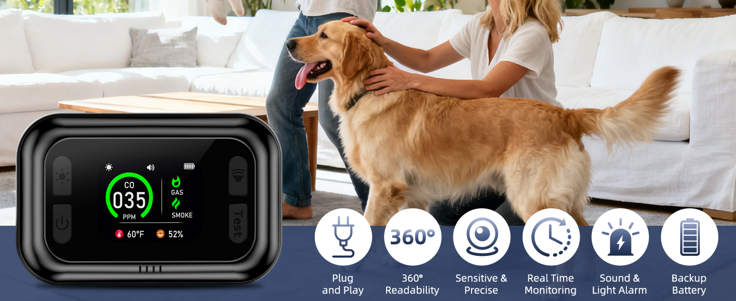 carbon monoxide and smoke detectors