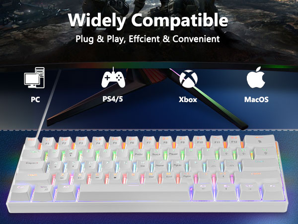 60% Wired Mechanical Keyboard