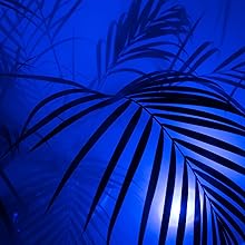 outdoor light mood aura plant lighting