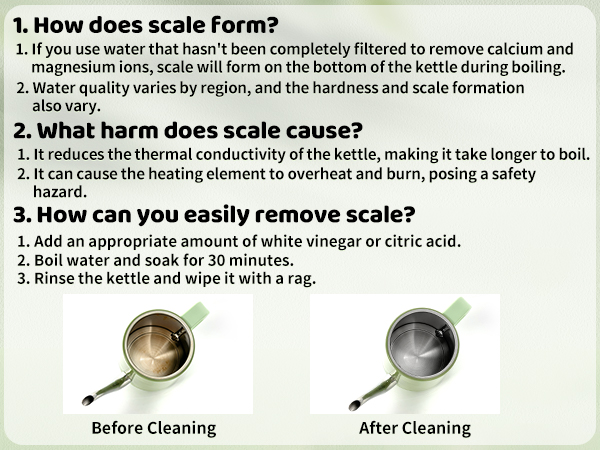 electric water kettle