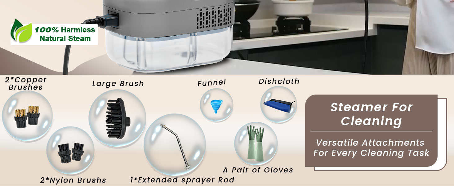 steam cleaner for home