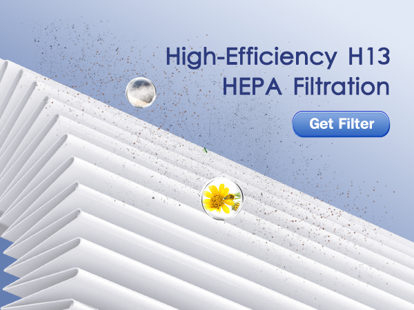 heap filter for allergies pollen 2