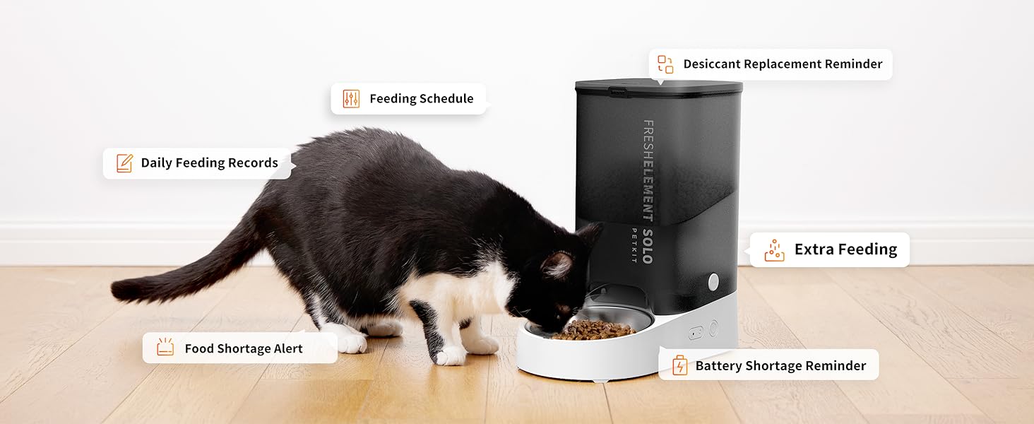 app control cat dog feeder food dispenser