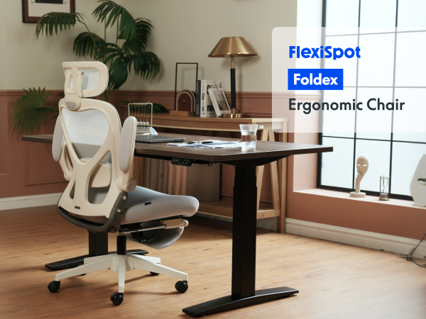 Flexispot office chair