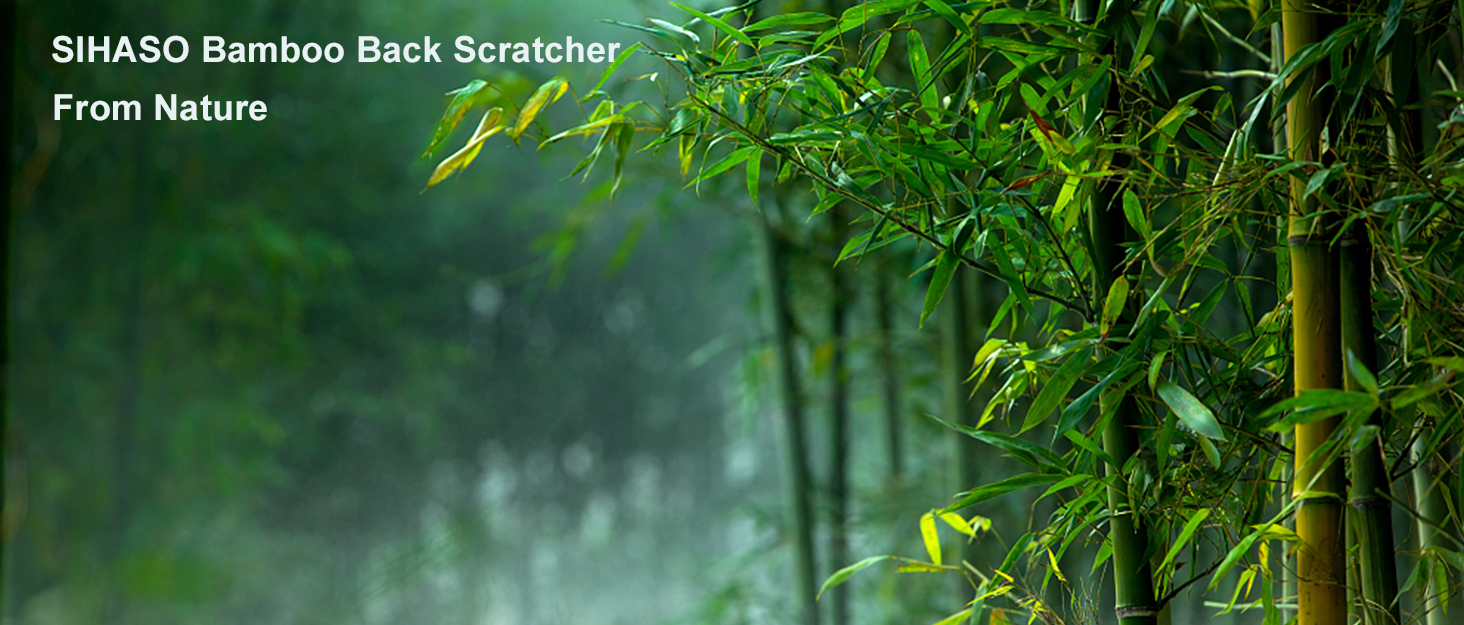 bamboo back scratcher