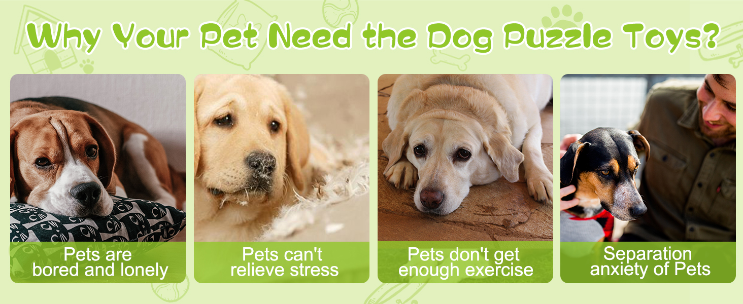 puzzle toys for dogs mental stimulation