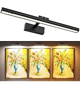 Wireless Picture Lights for Wall, Battery Operated Wall Light for Painting Rechargeable CCT Rotat...