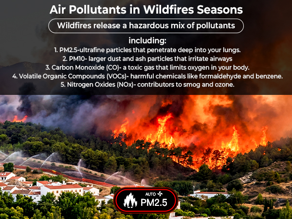 Air Purifiers