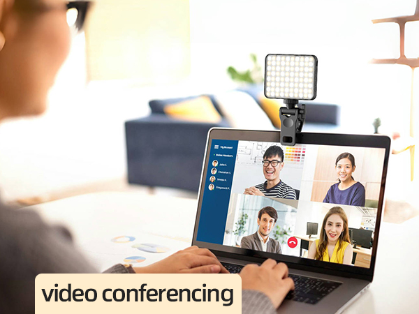 Video conference lighting