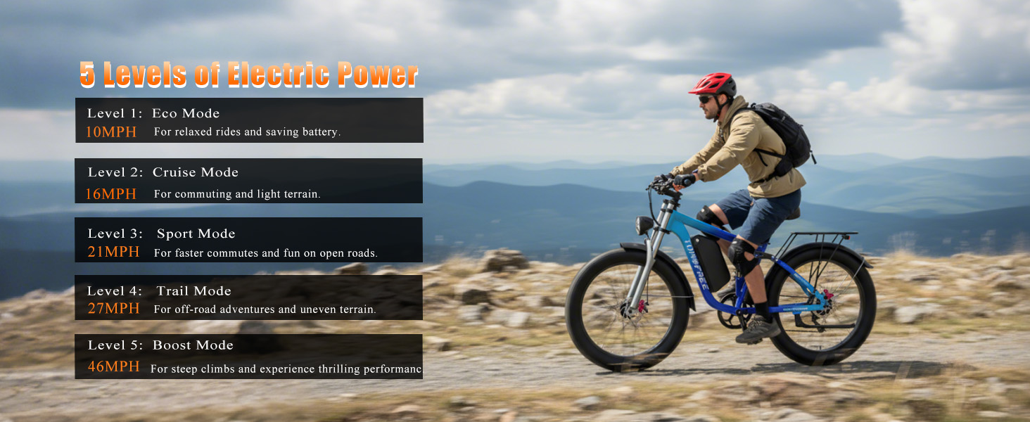 mountain electric bikes