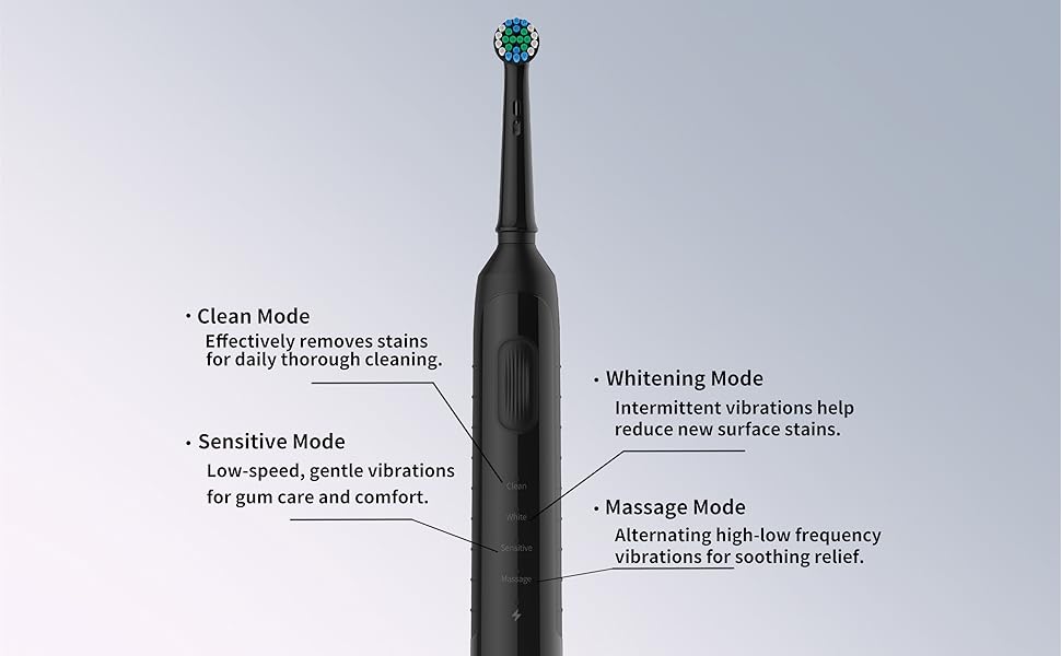 Your Daily Smile Partner