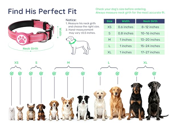 dog collar