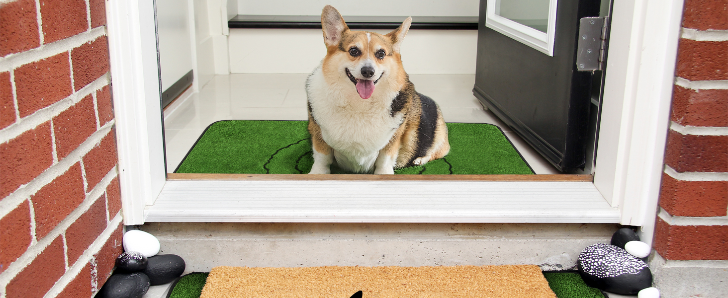 puppy pads