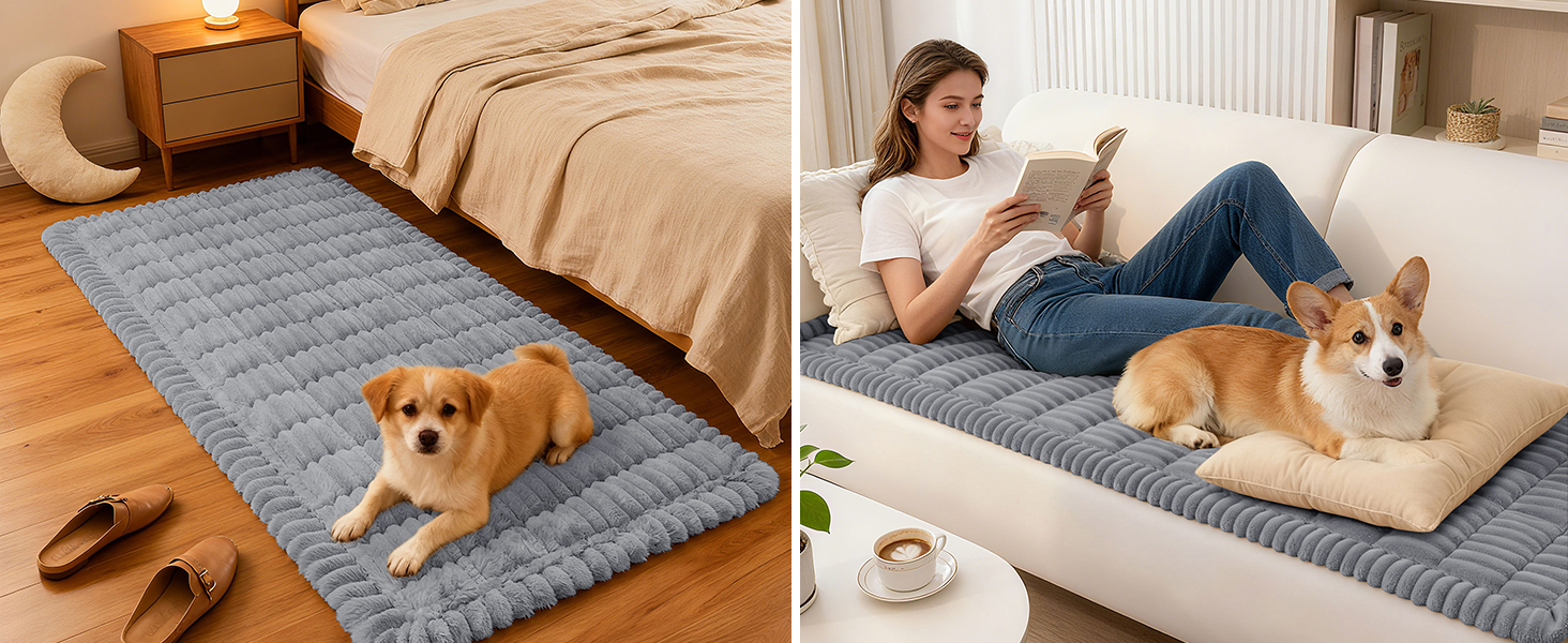 Couch Covers for Dogs Washable